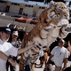 Illustration for article titled Ridley Scott throws a giant stuffed Tiger at Russell Crowe